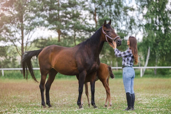 Genç bir kadın atlarıyla tarlada dikiliyor.