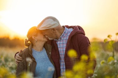 Sonbaharda gün batımında tarlada kıdemli bir çift.