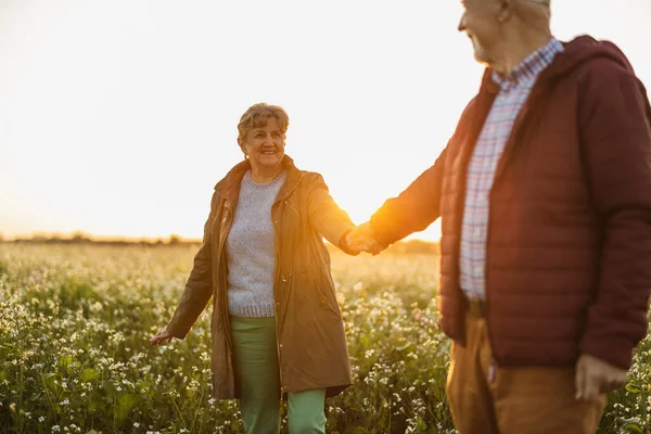 Seniorenpaar Herbst Bei Sonnenuntergang Auf Einem Feld — Stockfoto