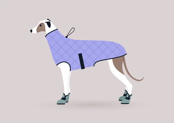Retrato Cão Galgo Vestindo Casaco Inverno Botas Roupas Estimação Domésticas — Vetor de Stock
