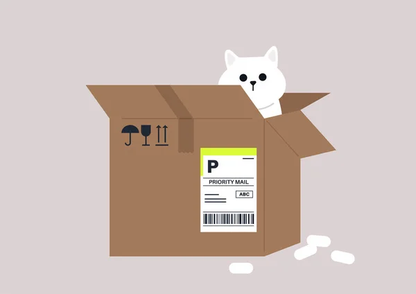 Chat Drôle Assis Dans Une Boîte Carton Colis Service Livraison — Image vectorielle