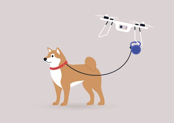 Ένα Ιπτάμενο Drone Copter Πόδια Ένα Σκυλί Shiba Inu Νέες — Διανυσματικό Αρχείο