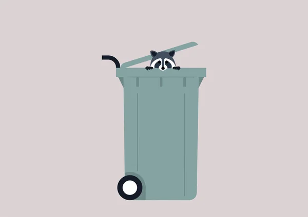 一只可爱的浣熊从垃圾桶里爬出来 — 图库矢量图片