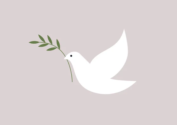 Fredsduva Med Olivkvist Ett Fredligt Tecken Inget Krig — Stock vektor