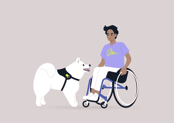 Jovem Personagem Masculino Uma Cadeira Rodas Brincando Com Cachorro Samoyed —  Vetores de Stock