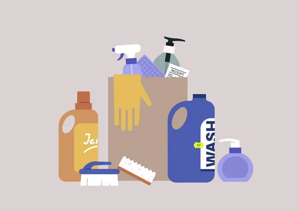 Conjunto Productos Limpieza Aerosoles Detergentes Jabón Cepillos Una Compra Supermercado — Archivo Imágenes Vectoriales