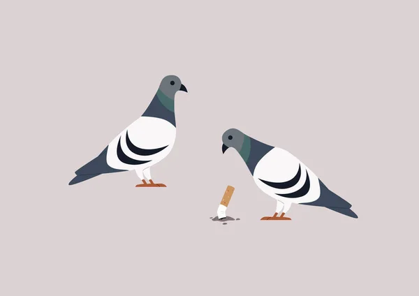 Pigeon Pecking Crushed Cigarette Butt Unhealthy Habits Smoking Concept — Image vectorielle