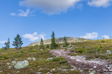 Idre, İsveç: Dağlarda güzel yürüyüş yolları. Yüksek kalite fotoğraf