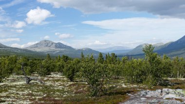 Rondane, 1962 yılında Norveç 'in ilk ulusal parkıdır. Dağlık bölgeleri ve olağanüstü manzaraları ile ünlüdür..