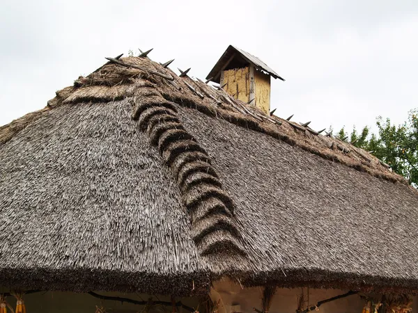 Telhado de palha — Fotografia de Stock