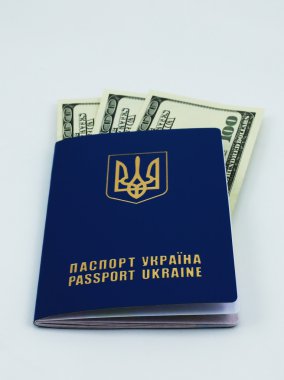 para ile uluslararası pasaportu