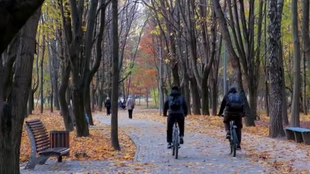 Piękny Jesienny Krajobraz Żółtymi Drzewami Parku Spadające Liście Ludzie Chodzą — Wideo stockowe
