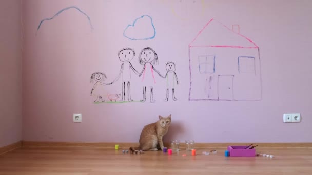 Jengibre Gato Está Sentado Entre Las Pinturas Acuarela Cerca Pared — Vídeo de stock