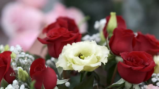 Primer Plano Pequeño Abejorro Vuela Una Rosa Amarilla Recoge Néctar — Vídeos de Stock