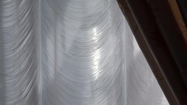 Beautiful Tulle Curtains Swaying Shimmering Wind — Stock Video
