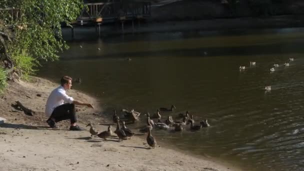 Een Jongeman Een Wit Shirt Voedt Brood Aan Wilde Eenden — Stockvideo