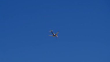 Mavi gökyüzünde beyaz bir uçak palmiye ağaçlarının üzerinde alçaktan uçuyor. Tropikal ülkelerde tatil kavramı.