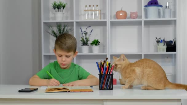 Malý Chlapec Sedí Svém Pokoji Psacím Stolem Dělá Úkoly Kočka — Stock video