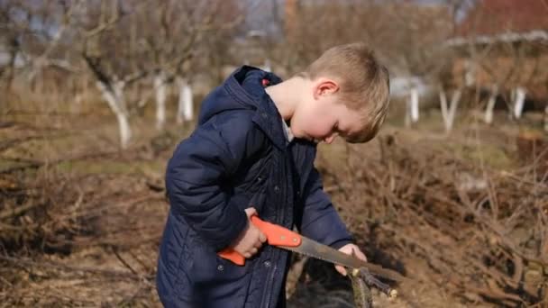 Niño Pequeño Ayuda Padre Podar Árboles Jardín Con Una Sierra — Vídeo de stock