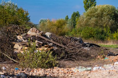 Doğada, ormanın yakınındaki enkaz inşaatı .