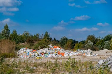 Doğada, ormanın yakınındaki enkaz inşaatı .