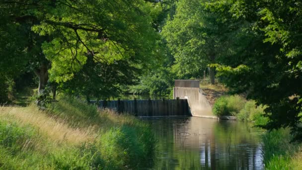 美しい自然を背景に ドイツの川沿いの小さなダム — ストック動画