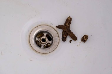 Kedi kakası su giderinin yanındaki beyaz küvette yatıyor..