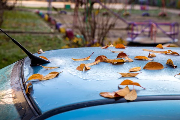 Umgestürzte Gelbe Herbstblätter Liegen Auf Dem Autodach — Stockfoto