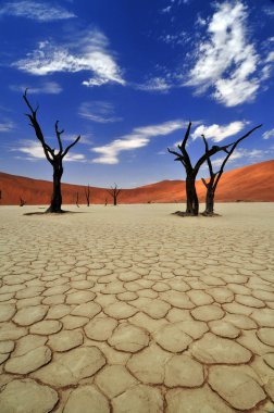 eski dostlar - ölü ağaçlar, kırık toprak ve kum tepelerine sossusvlei, Namibya namib naukluft Milli Parkı.