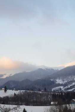 Karpat Dağları 'ndaki kış manzarası