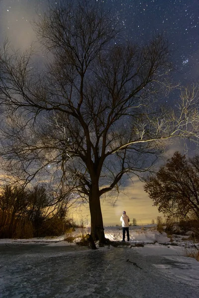 Person near tree watching on stars at night