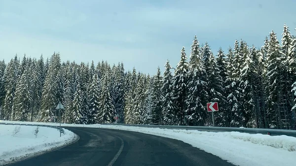 Droga Lesie Zimowym — Zdjęcie stockowe