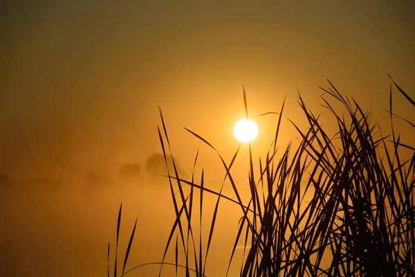 Mooie Mistige Ochtend Mist Boven Herfstmeer Bij Zonsopgang Breed Panorama — Stockfoto