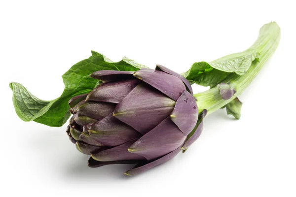 Fresh artichoke — Stock Photo, Image