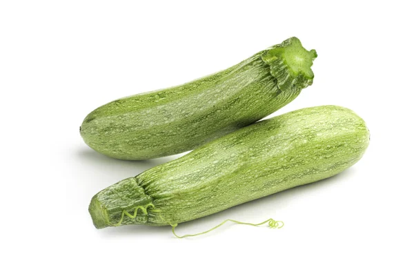 Zwei hellgrüne Zucchini — Stockfoto