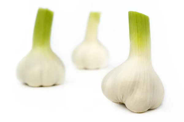 Fresh garlic bulbs — Stock Photo, Image