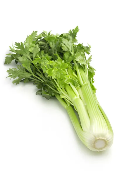 Green celery — Stock Photo, Image