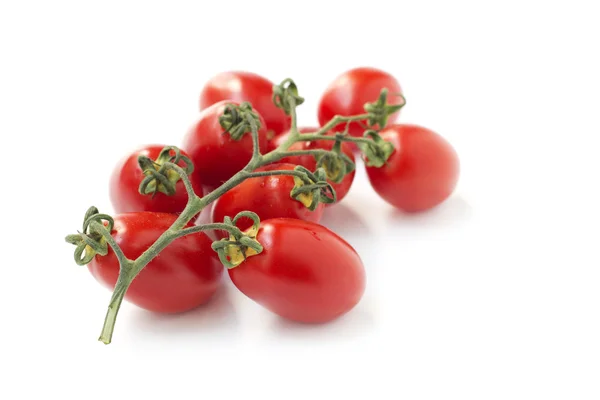 Bund roter Tomaten — Stockfoto