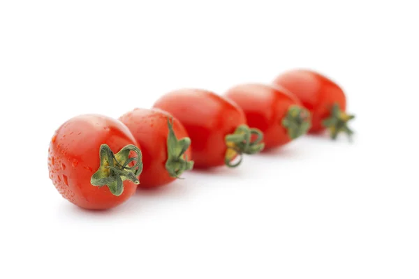 Linha de tomates cereja — Fotografia de Stock