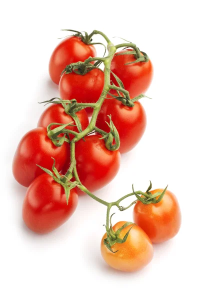 Vine tomatoes — Stock Photo, Image