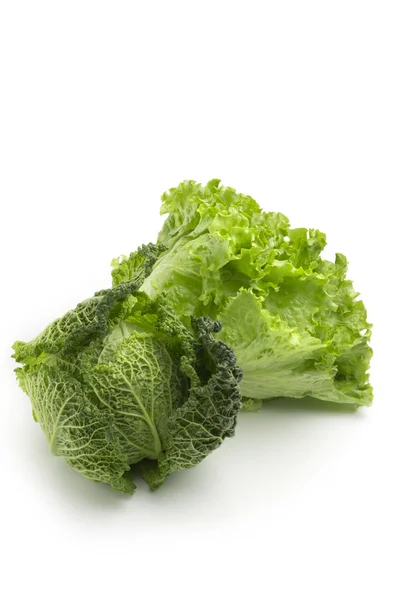 Varză proaspătă și salată verde — Fotografie, imagine de stoc