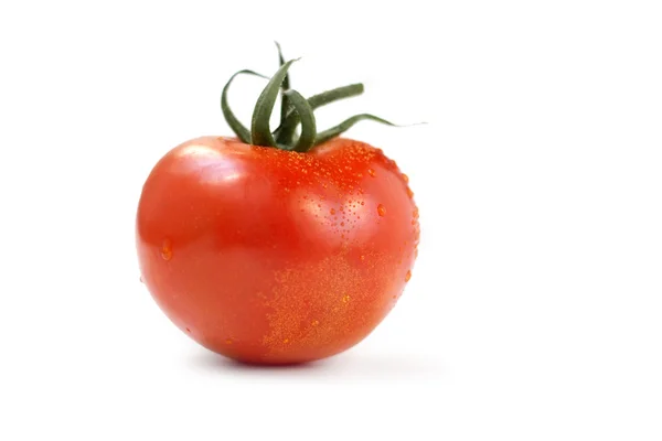 Red round tomato — Stock Photo, Image