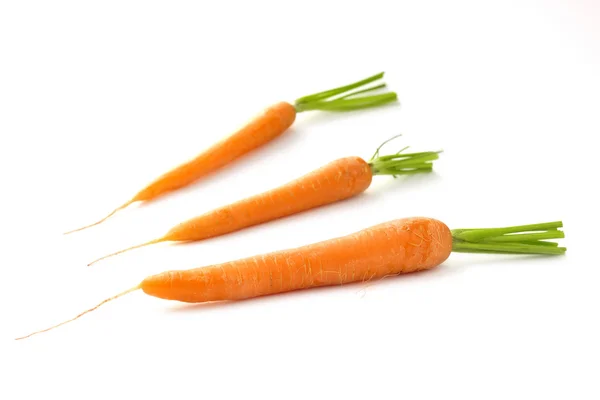 Carrot — Stock Photo, Image