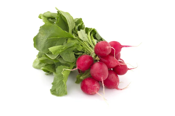 Small bunch of radishes — Stock Photo, Image