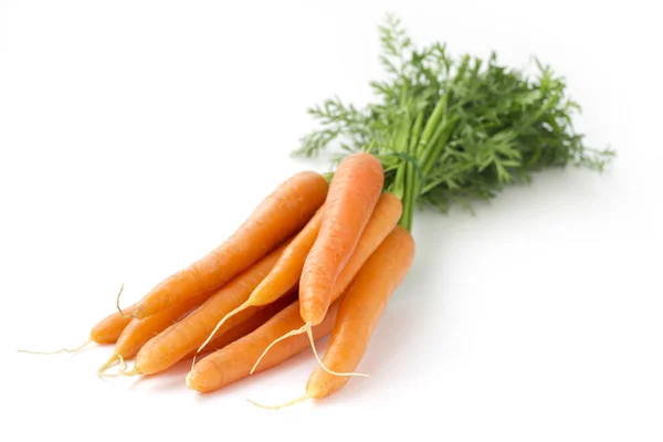 Carrots — Stock Photo, Image