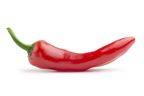 Rode hete chili peper op witte achtergrond — Stockfoto