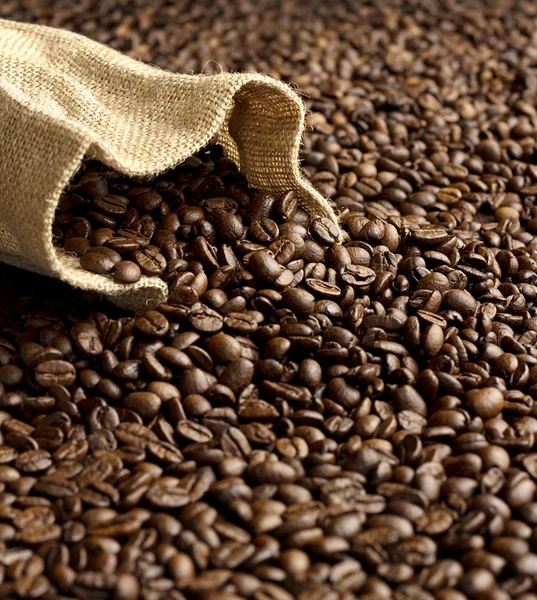 Burlap sack on fresh coffee beans background — Stock Photo, Image