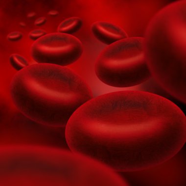 kırmızı kan hücreleri bir damar içinde akan