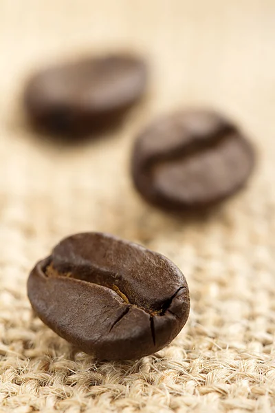 Coffee beans — Stock Photo, Image