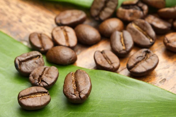 Close up van koffie bonen op een groen blad — Stockfoto